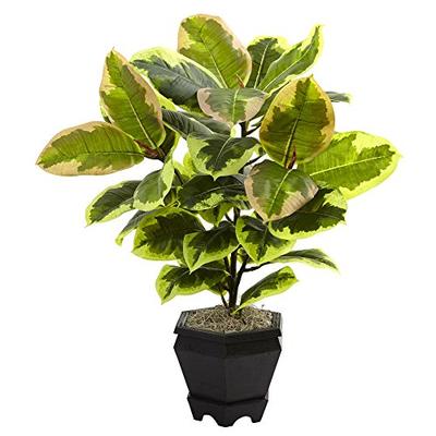 Nearly Natural 6886 22" Variegated Rubber Leaf Plant with Wood Planter