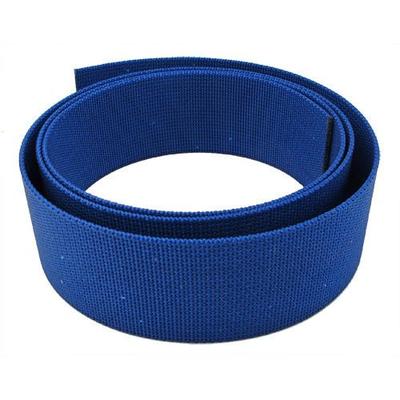 Scuba Choice Scuba Diving 2" Wide Replacement Strap for Backplate, 120" Long, Blue