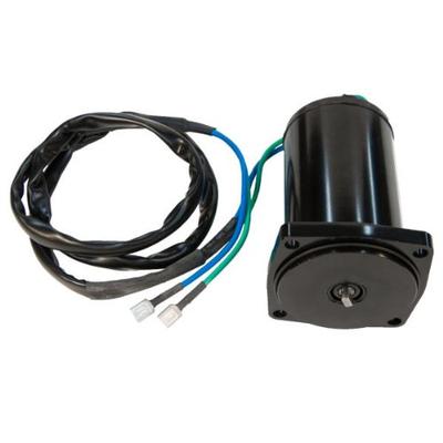 Sierra International 18-6793 Marine Trim Motor