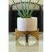 Union Rustic Holman Ceramic Pot Planter Ceramic in Pink | 6.25 H x 6.25 W x 6.25 D in | Wayfair DDD5615E15FF462FBABC35245F173958