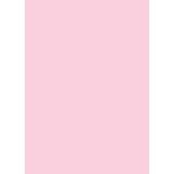 Westcott Solid Color Art Canvas Backdrop with Grommets (5 x 7', Pink) D0012-63X87-CV-PK