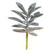 Vickerman 609347 - 8" Green Succulent Pick Pk/4 (FE191008) Home Office Succulents