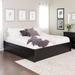 Winston Porter Sagamore Select 4-Post Platform Bed w/ 2 Drawers Metal in Black | 16 H x 79 W x 83 D in | Wayfair 5803992D03C34C36B9F11C3C01E30140