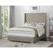 Willa Arlo™ Interiors Maxine Tufted Low Profile Standard Bed Wood & /Upholstered/Velvet in Brown/Gray | 67 H x 84.7 W x 70.5 D in | Wayfair