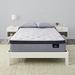 Twin 14" Hybrid Mattress - Serta Perfect Sleeper Ultra Plush & Box Spring Set | 74 H x 40 W 13.75 D in Wayfair 500162733-9910