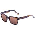 OCEAN SUNGLASSES San Clemente Lunettes de soleil Brown/Brown Lens