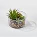 Wrought Studio™ 4" Artificial Round Agave Succulent in Terrarium Glass/Plastic | 4 H x 5.5 W x 5.5 D in | Wayfair 514CF4245AFA43B6B4DAE4087DD78599