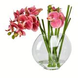 Vickerman 605851 - 9.8" Pink Orchid In Glass Pot (FX190502) Home Office Flowers in Pots Vases and Bowls