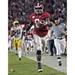 Julio Jones Alabama Crimson Tide Unsigned Vertical TD vs. LSU Photograph