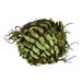 Vickerman 603659 - 4" Green Boston Fern Ball 3/Pk (FV192301) Home Office Topiaries