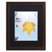 Trademark Fine Art "Autumn Leaf in the Sun" by Kurt Shaffer Framed Photographic Print Canvas, Wood in Green | 14 H x 11 W x 0.5 D in | Wayfair