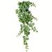 Vickerman 605240 - 51" Green / White Grape Ivy Hanging Bush (FZ192451) Home Office Picks and Sprays