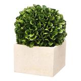 Gracie Oaks Boxwood Topiary in Pot Plastic | 5.5 H x 5.5 W x 7.1 D in | Wayfair D15B5F16322D4040A948411CE71E747F