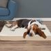 Orthopedic Memory Foam Dog Bed, 36" L X 27" W X 4" H, Tan, Large, White