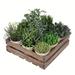 Vickerman 608975 - 8" Potted Garden Grass (FG190601) Home Office Bushes