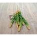 Primrue Agave Succulent Silk/Plastic | Wayfair 69D52D457598485C87B3408A23ED49EC