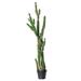 Vickerman 609248 - 56" Green Potted Cactus (FE191156) Home Office Succulents