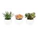 Vickerman 608678 - 5" Green/Red/Gray Succulent Wht Pot Set3 (FO190501) Home Office Succulents