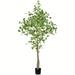 Vickerman 605530 - 6' Potted Ginko Tree 702 Leaves (TB190660) Generic Home Office Tree