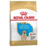 Royal Canin Labrador Retriever Puppy Crocchette per cane - Set %: 2 x 3 kg