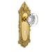 Nostalgic Warehouse Victorian Plate w/ Decorative Keyhole & Round Clear Crystal Door Knob Brass/Crystal in Yellow | 8.25 H x 2.875 W in | Wayfair