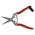 Zenport Pruning Shear, Stainless Steel | 7.5 H x 2 W x 1 D in | Wayfair H300S