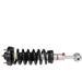 2004-2008 Ford F150 Front Strut Assembly - Rancho RS999910