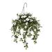 Red Barrel Studio® Artificial Morning Glory Hanging Basket Fabric in Green | 33 H x 24 W x 24 D in | Wayfair D0823FD3A75C48DDBB6BF9DD64E42078