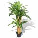 Bay Isle Home™ Artificial Dracaena Plant w/ Pot 39.4" Green Plastic | 39.4 H in | Wayfair 013EC46C20824A6E9C17F535C48FEBED