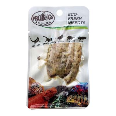 Pro Bugs Eco Fresh Silkworm, Count of 5