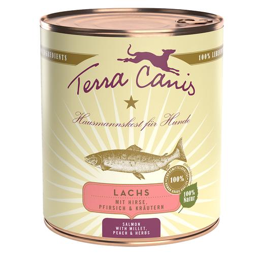 Sparpaket: 12x800g Terra Canis Lachs mit Hirse, Pfirsich und Kräutern Hundefutter nass