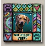 August Grove® Rivale Who Rescued Who Small Picture Frame Wood/Metal in Brown | 5.25 H x 5.25 W x 0.75 D in | Wayfair
