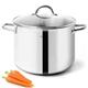 HOMICHEF Stock Pot 24 cm 7.6 Litre with Lid Nickel Free Stainless Steel - Mirror Polished Stockpot 7.6 Litre with Lid - Healthy COOKWARE Stockpots 7.6 Litre