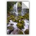 East Urban Home Proxy Falls Oregon 5 Removable Wall Decal Vinyl in Brown/Green/White | 12 H x 18 W in | Wayfair 0yor122a1218p