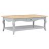 vidaXL 280012 Coffee Table Grey 110x60x40 cm MDF