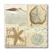 Highland Dunes Shell Collage Absorbent Stone Coaster Stoneware in Brown | 1.5 H x 4 D in | Wayfair F97D0ACB92F74A5281ED357E211EAFFF