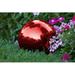 The Holiday Aisle® Audel Gazing Ball Metal | 8 H x 8 W x 8 D in | Wayfair BALL-GZNG-RED