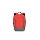 Travelite Handgepäck Rucksack für Reise, Freizeit und Sport, Gepäck Serie BASICS Daypack: Kompakter travelite Rucksack, 096290-10, 35 cm, 14 Liter, Rot/Grau