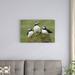 East Urban Home 'Atlantic Puffin Group, Faroe Islands' Photographic Print on Wrapped Canvas Canvas | 20 H x 30 W x 1.5 D in | Wayfair