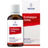 Crataegus COMP.Dilution 2x50 ml Dilution