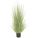 Bay Isle Home™ Zebra 55" Artificial Zebra Grass Plant in Pot Plastic | 55 H x 16 W x 16 D in | Wayfair EA17DE239BB043EC8CB14D04609BC8D1