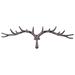 Millwood Pines Carlin Wall Mounted Coat Rack Metal in Brown | 7.9 H x 25 W x 4.8 D in | Wayfair 04EDA7E0E1BB4BA9889D5DF20A043076