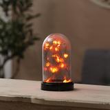 The Holiday Aisle® Lighted Fall Harvest Glass Dome Decorative Accent Glass/Mercury Glass | 6.7 H x 3.9 W x 3.9 D in | Wayfair