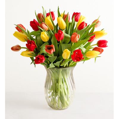 1-800-Flowers Seasonal Gift Delivery Our Favorite Fall Tulips + Free Vase 30 Stems W/ Free Clear Vase