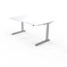 SiS Ergo S Height Adjustable Standing Desk Wood/Metal in Gray | 46 W x 28 D in | Wayfair SXL2-4628-S-WAYFAIR
