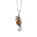 Kiara Jewellery Sealife 925 Sterling Silver Seahorse Pendant Necklace Inlaid With Brown Baltic Amber on 18" Sterling Silver Trace Or Curb Chain.