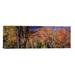 Ebern Designs Panoramic Trees in Autumn, Vermont Photographic Print on Wrapped Canvas in White | 12 H x 36 W x 1.5 D in | Wayfair