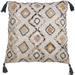 Dakota Fields Lolita Cotton Throw Pillow Cover & Insert Polyester/Polyfill | 22 H x 22 W x 5 D in | Wayfair B54361D7C23A4990A7018C36B6DF8D7E