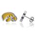 Women's Dayna Designs Iowa Hawkeyes Enamel Post Earrings