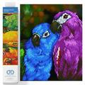 Diamond Dotz Painting Kit: Rainbow Parrots,30 x 77 cm